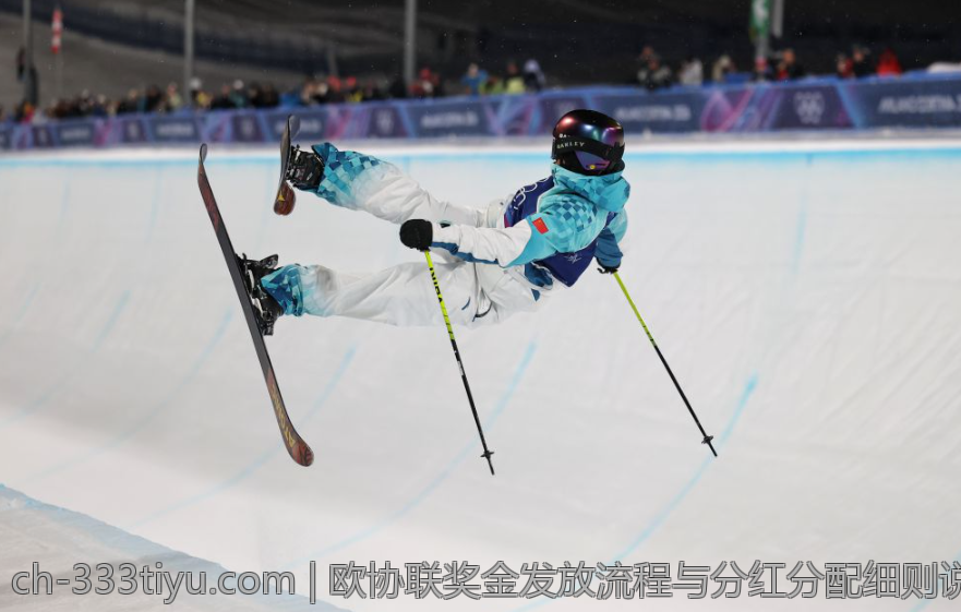 欧协联奖金发放流程与分红分配细则说明