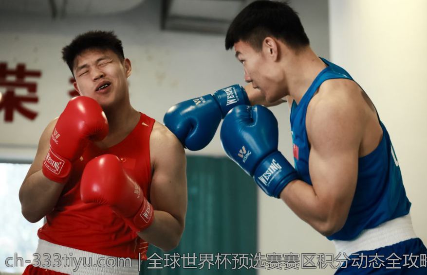 全球世界杯预选赛赛区积分动态全攻略